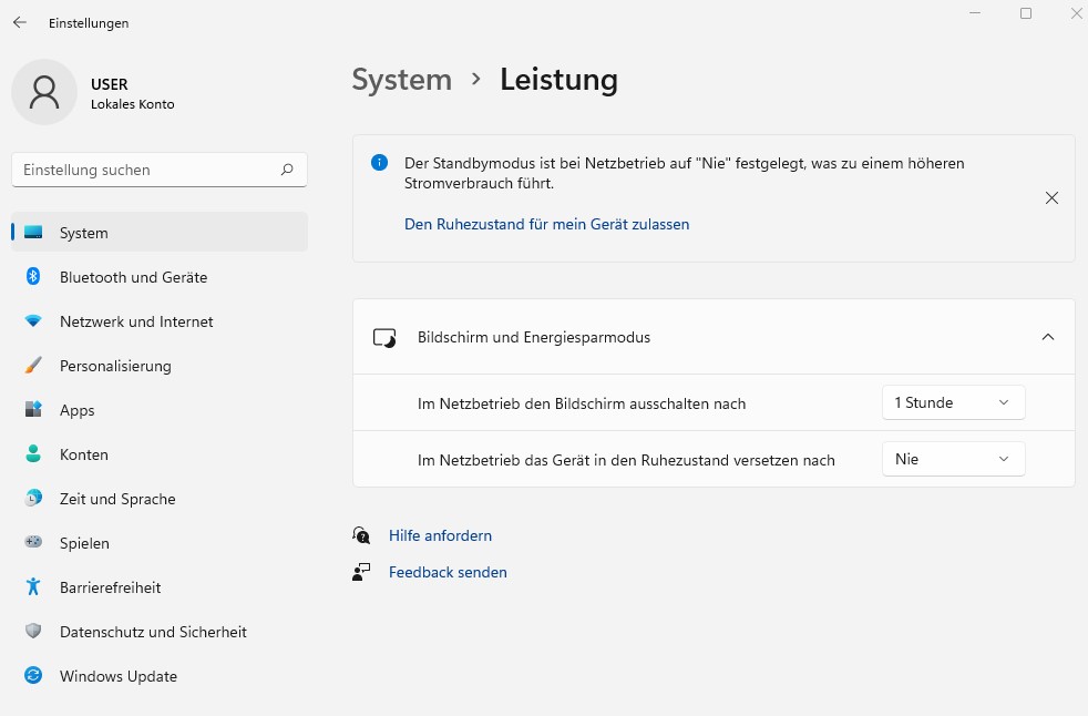 System-Leistung