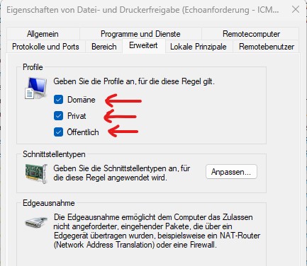 Windows 11 Ping ICMP erlauben Erweiterte Bereiche